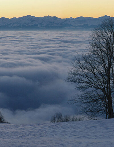Die schneebedeckte Wiese endet in einem kilometerlangen Nebelmeer. Auf der Höhe des Wiesenendes stehen kahle dunkle Bäume. Ganz hinten sind Berge und das Abendrot zu sehen.