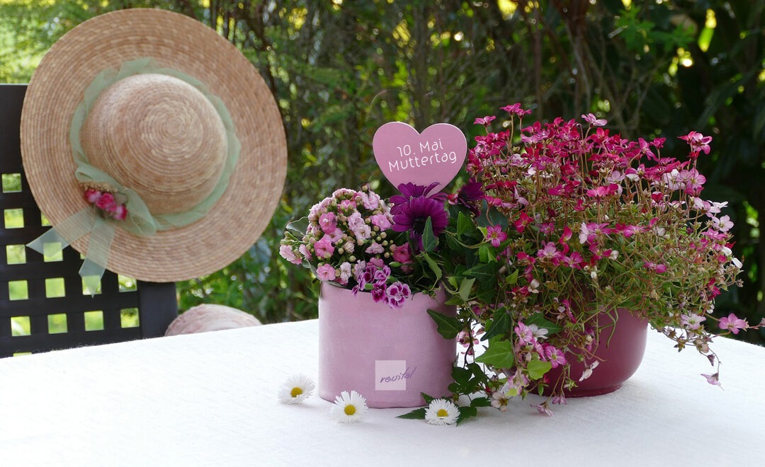 Ein lila und ein bordeauxroter Blumentopf auf einem Tisch mit einem lilafarbenen Herz Muttertag