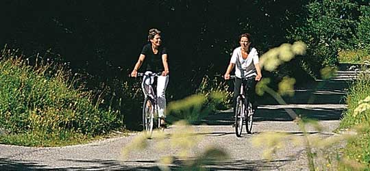 Zwei Frauen fahren auf einem Waldweg Velo. Eine hat ein schwarzes Tshirt mit weissen Hosen. Bei der anderen Frau sind die Farben umgekehrt.